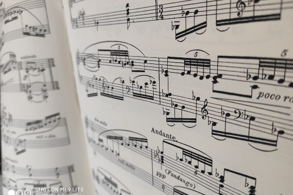 Introduzione alla teoria della musica